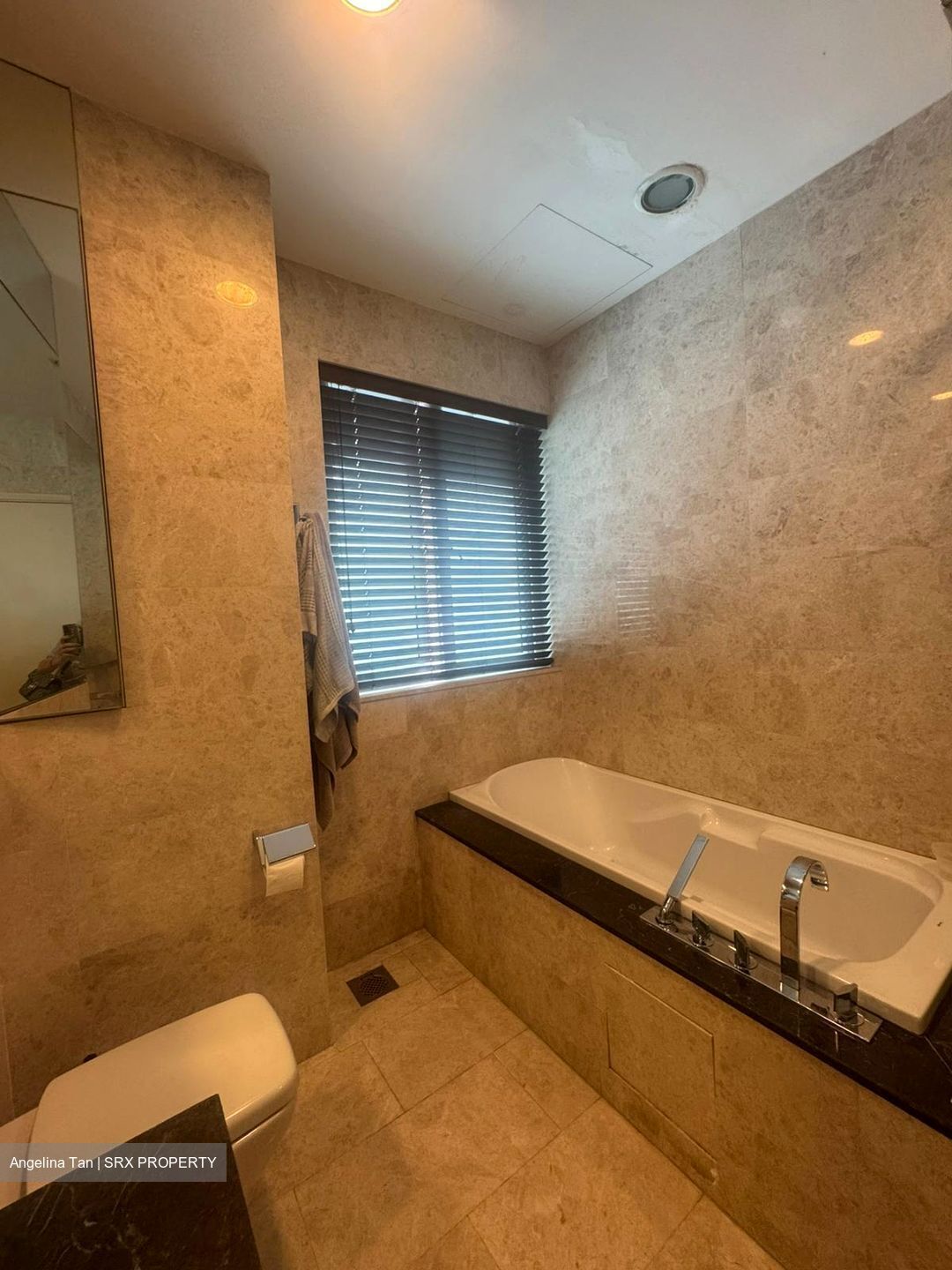 Toh Estate (D17), Detached #571765551